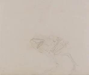 Vergleichende anatomische Darstellung der Struktur des menschlichen Körpers mit der eines Tigers und einer Kuh